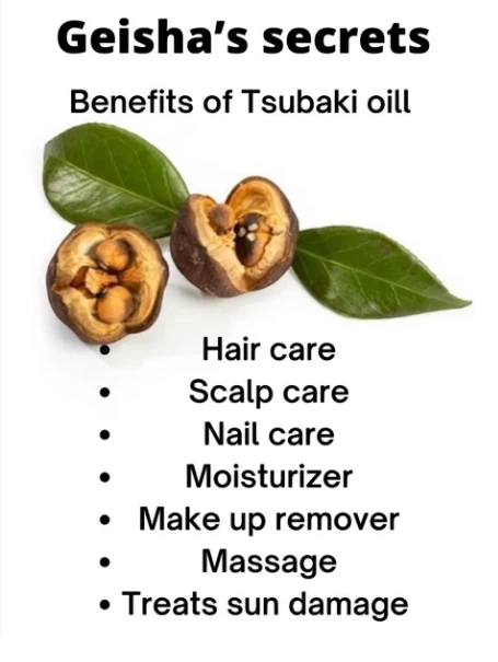 Beauty Secrets of Japan organic Tsubaki Camellia seed oil benefits list with fresh camellia fruit and green leaves